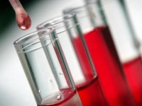 Ученые разработали уникальную группу крови – пятую