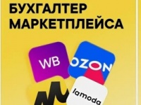 Как выбрать специализацию в профессии бухгалтера: ИП, организации, маркетплейсы