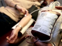 Что нужно делать, если у Вас вымогают деньги за предоставление донорской крови в больнице?